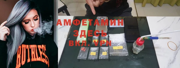 индика Волоколамск