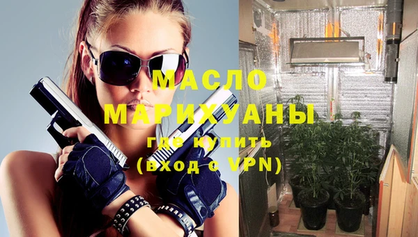 индика Волоколамск