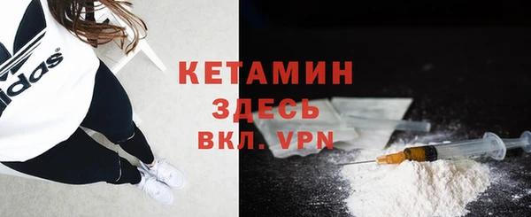 индика Волоколамск