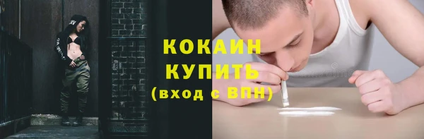 индика Волоколамск