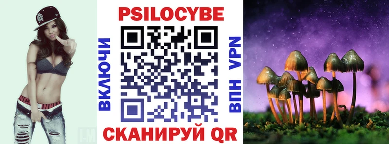 Псилоцибиновые грибы Psilocybe  Новохопёрск 